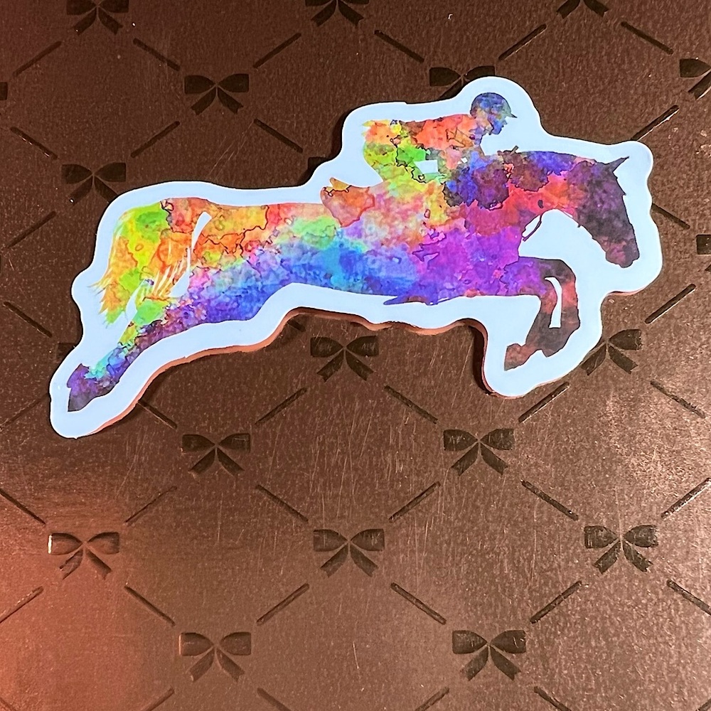 WaterColor Equestrian Horse Girl Horse Boy Cowboy CowGirl Single Decor Sticker